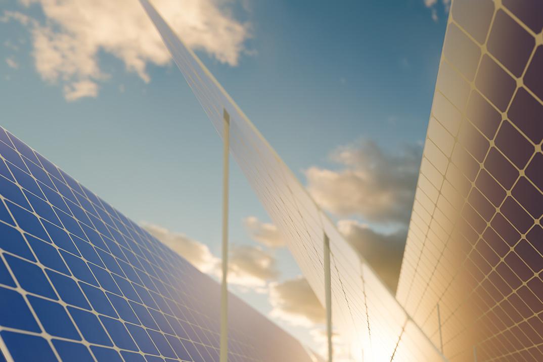 Solar Panels on Green Fields Under Bright Sun